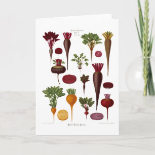 Beet Kort