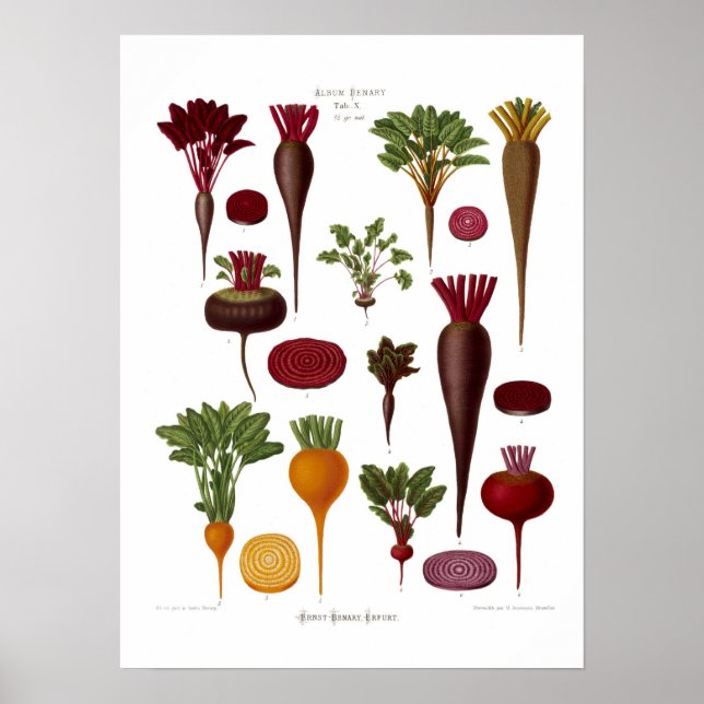 Beet Poster (Framsidan)
