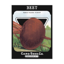 Beet Tidigt Blood Turnip Vintage Seet Packet Root