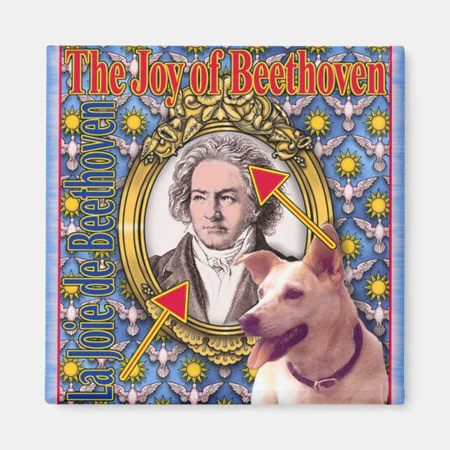 BEETHOVEN MAGNET (Framsidan)