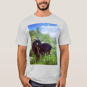 Beethoven Printing Shirt T