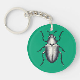 Beetle