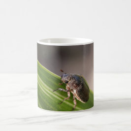 Beetle 01 kaffemugg