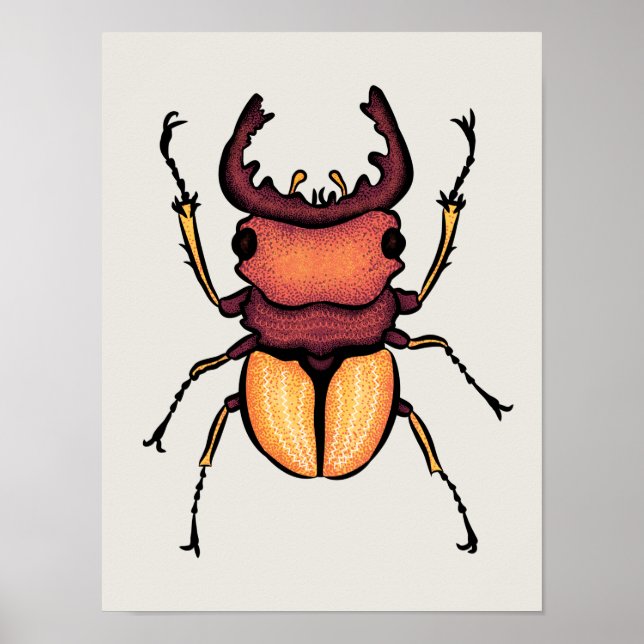 Beetle Art Entomology Insekt Poster (Framsidan)
