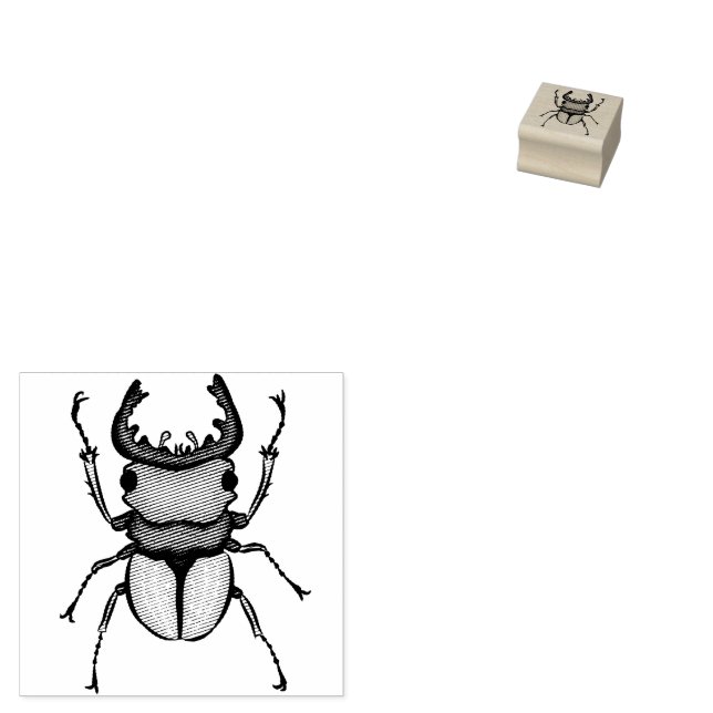Beetle Art Entomology Insekt Stämpel (Stämplad)