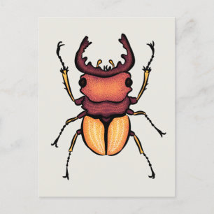 Beetle Art Entomology Insekt Vykort