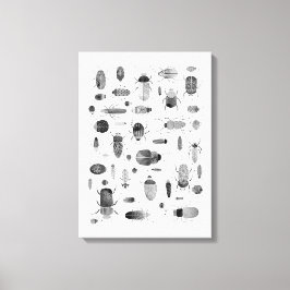 Beetle Black & White Canvastryck