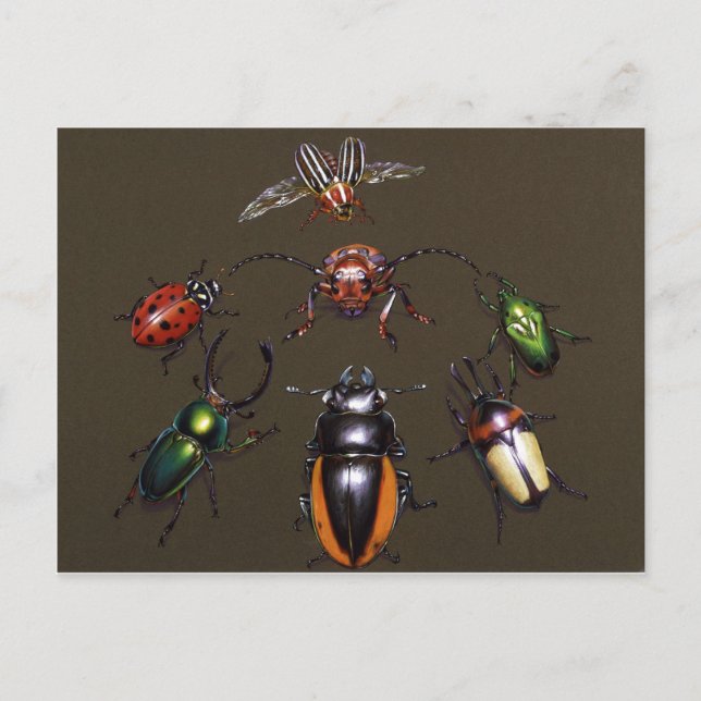 Beetle Circle of Fantasy Vykort (Framsida)
