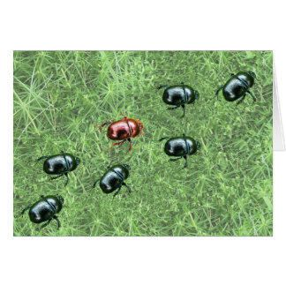 Beetle Design Hälsningskort