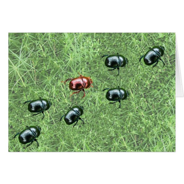 Beetle Design Hälsningskort (Framsidan Horizontal)