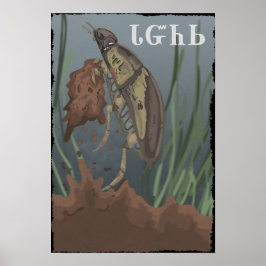 Beetle Finds Lera Poster