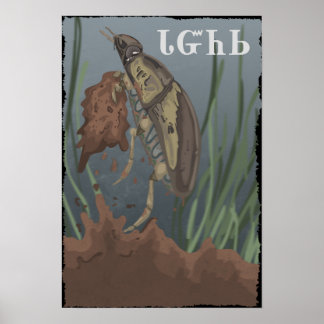 Beetle Finds Lera Poster