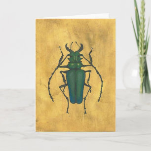 Beetle Greeting Card II Kort
