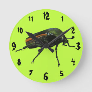 Beetle Kryp Acrylic Wall Clock Rund Klocka
