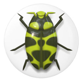 Beetle kryp insekt söt grönt svart knopp