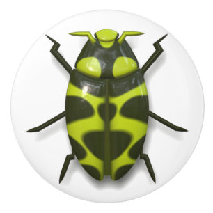 Beetle kryp insekt söt knopp