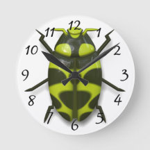 Beetle kryp insekt söt