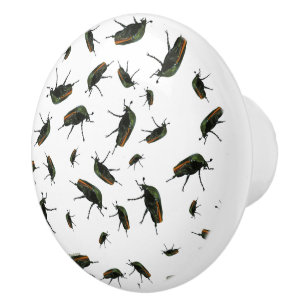Beetle Kryp Knobs Knopp