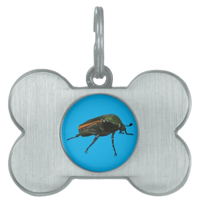 Beetle Kryp Pet-taggar ID-bricka Husdjur (Framsidan)