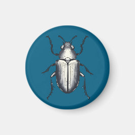 Beetle Magnet