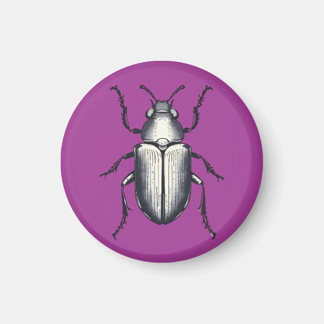Beetle Magnet (Framsidan)