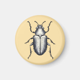 Beetle Magnet