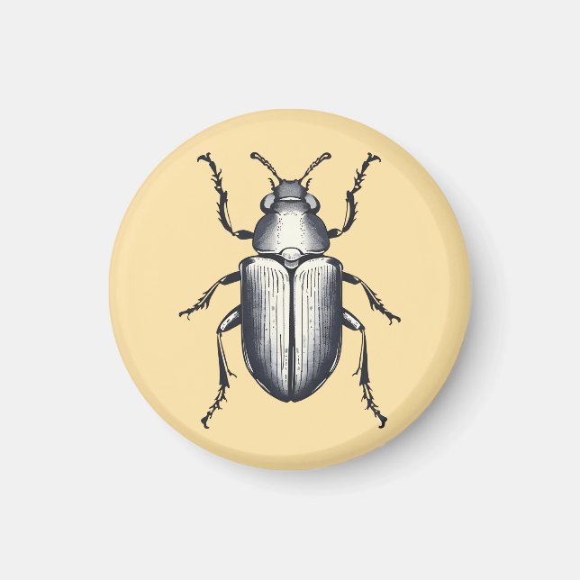 Beetle Magnet (Framsidan)