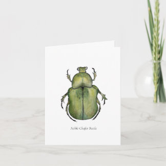 Beetle Note Cards Anteckningskort