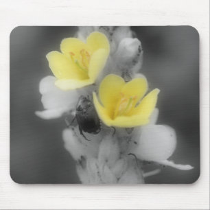 Beetle on Mullein Flower Black White Mousepad Musmatta