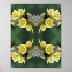 Beetle on Vild Mullein Flower Abstrakt Poster