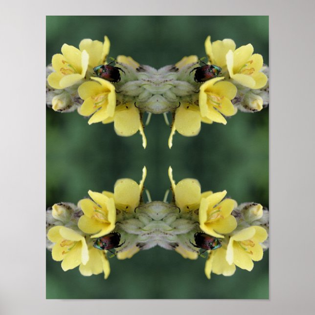 Beetle on Vild Mullein Flower Abstrakt Poster (Framsidan)