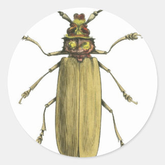 Beetle, Prionus Corticinus Runt Klistermärke