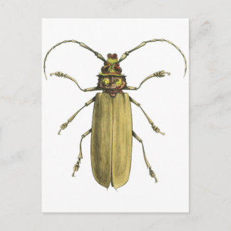 Beetle, Prionus Corticinus Vykort