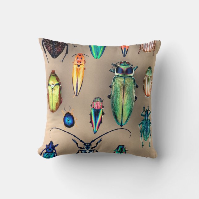 Beetle-samling Kudde (Framsida)
