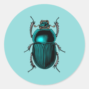 Beetle Scarab Sticker Runt Klistermärke