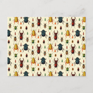 Beetle Soreties Vykort