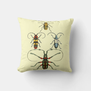 Beetle Visning Cushions Kudde
