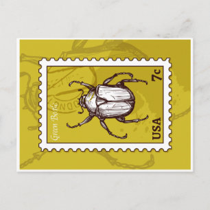 Beetle Vykort