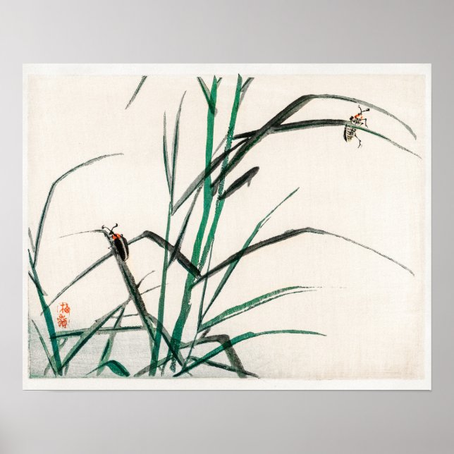 Beetles by Kōno Bairei (1844-1895) Poster (Framsidan)