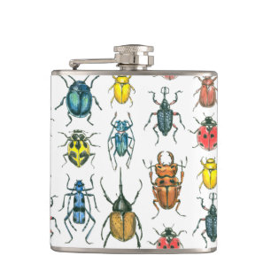 Beetles Fickplunta