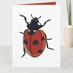 Beetles Insekt Ladybug Beetles Kort