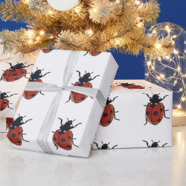 Beetles Insekt Ladybug Beetles Presentpapper