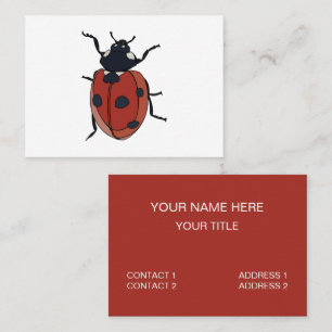 Beetles Insekt Ladybug Beetles Visitkort
