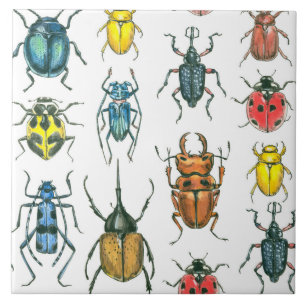 Beetles Kakelplatta