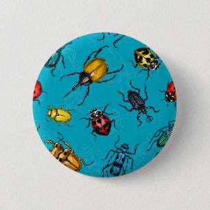 Beetles Knapp