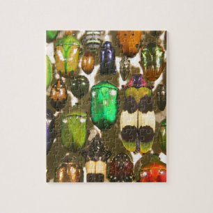 Beetles, Kryp och Insektra Pussel