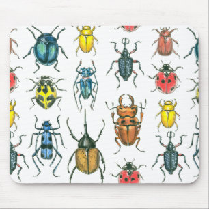 Beetles Musmatta