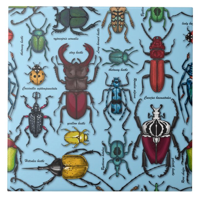 Beetles on blue kakelplatta (Framsidan)