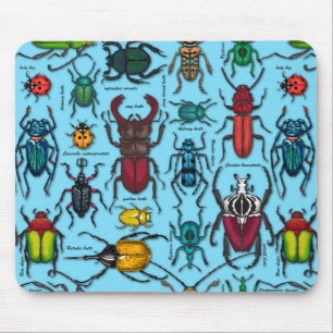 Beetles on blue musmatta