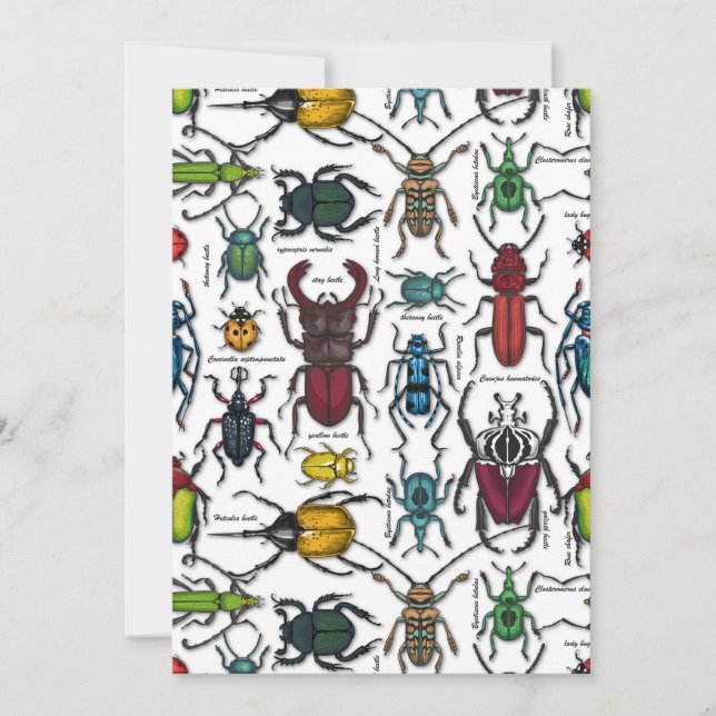 Beetles på white (Framsida)
